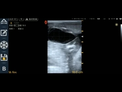 دامپزشکی UL8-4T