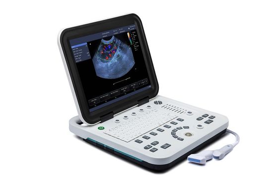خرید صفحه نمایش LCD 15 اینچی دستگاه سونوگرافی قابل حمل دامپزشکی استفاده دامپزشکی online manufacture