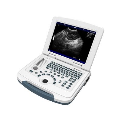 خرید دستگاه سونوگرافی دامپزشکی رایانه شخصی 12.1 اینچی اسکنر اولتراسوند حیوانات LCD online manufacture