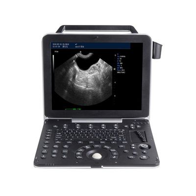 خرید دستگاه سونوگرافی دامپزشکی قابل حمل 15 اینچی تصویربرداری 2 بعدی با مقیاس خاکستری online manufacture